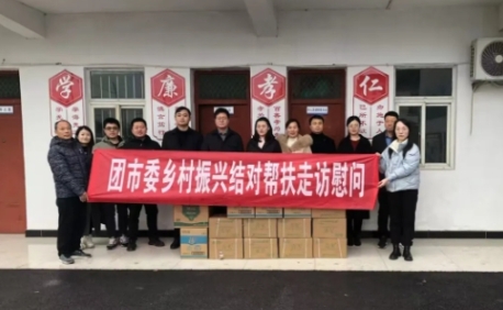 团市委赴杨集村开展结对帮扶走访慰问暨主题党日活动