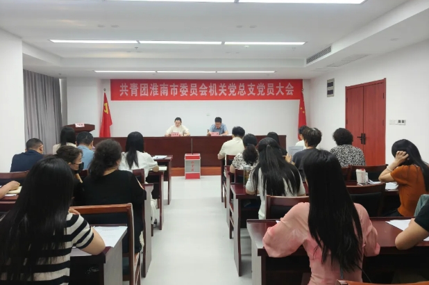 共青团淮南市委员会机关党总支召开党员大会